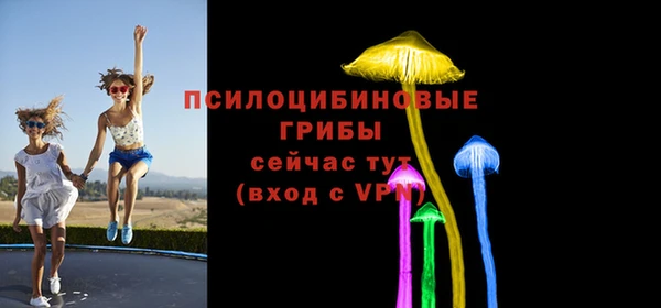 ПСИЛОЦИБИНОВЫЕ ГРИБЫ Братск