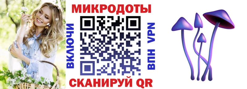 Галлюциногенные грибы Psilocybine cubensis  закладки  Заречный 