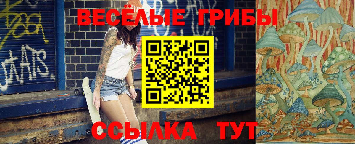 Alpha PVP  Марки ЛСД  Мяу-Мяу  Заречный  Мяу-Мяу  Вход с VPN  ГАШИШ  Марихуана  COCAIN  Молли  Конопля 