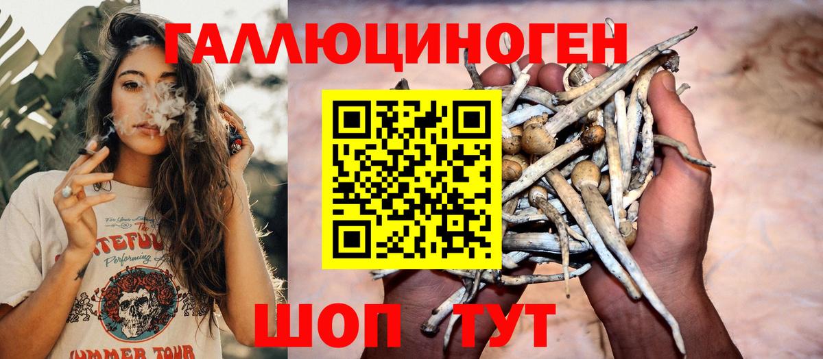 ГАШ Заречный