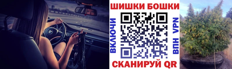 как найти наркотики  Заречный  Бошки марихуана Ganja 